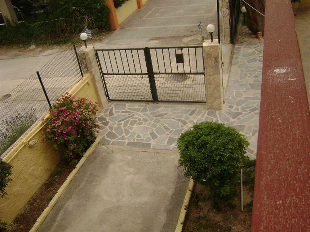 Adonis 2*